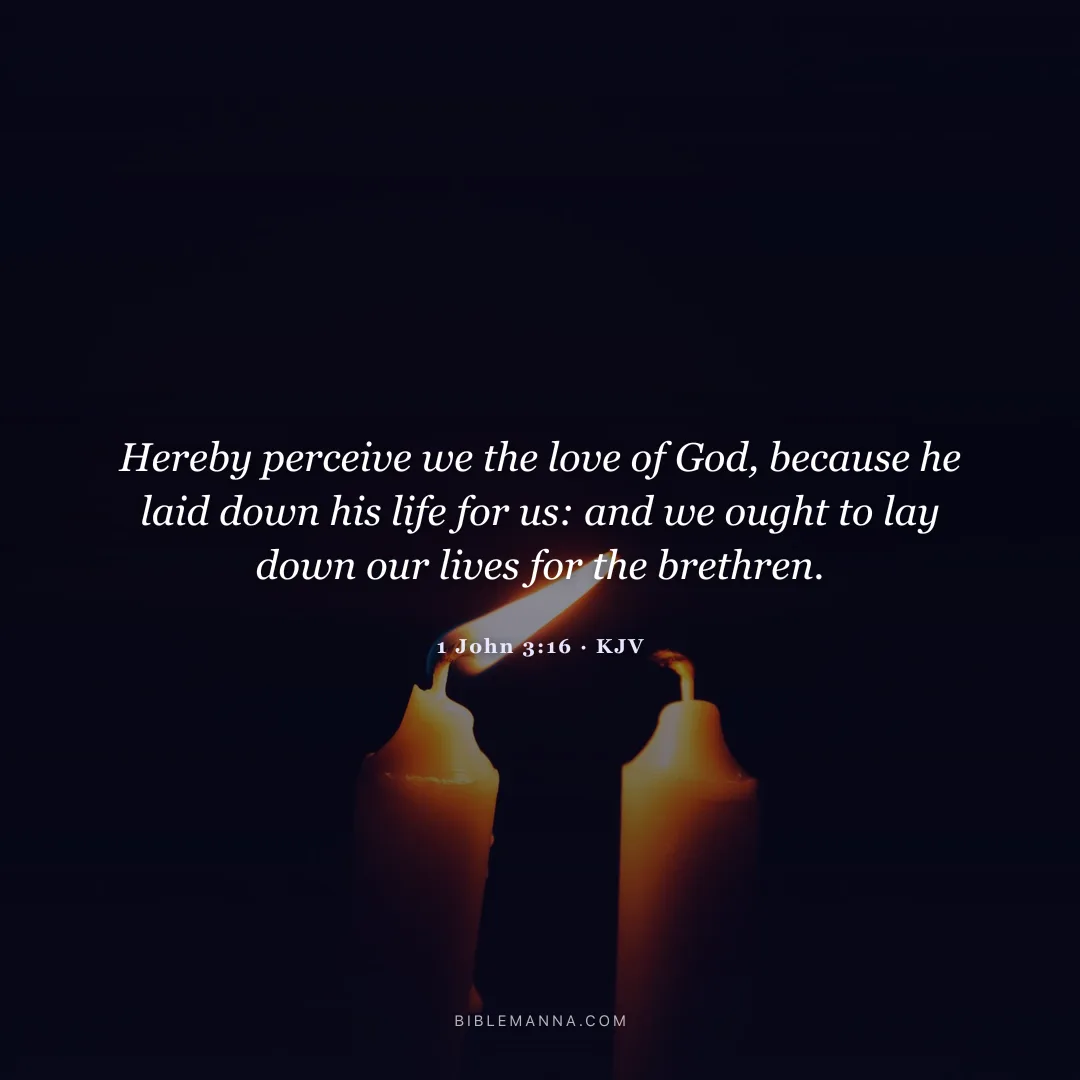 "Hereby perceive we the love of God, because he laid down his life for us: and we ought to lay down our lives for the brethren." - 1 John 3:16 (KJV)