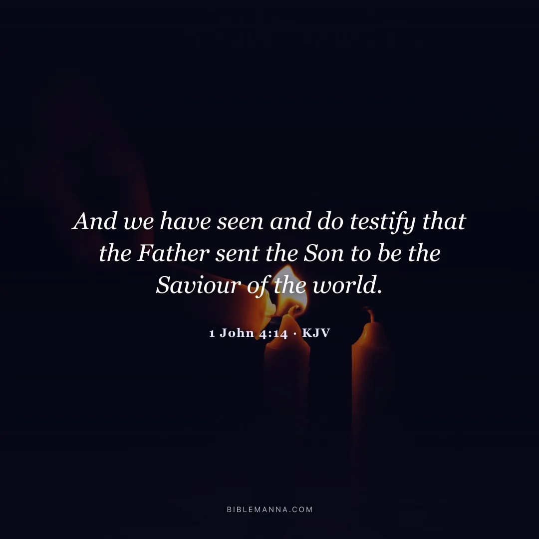 "And we have seen and do testify that the Father sent the Son to be the Saviour of the world." - 1 John 4:14 (KJV)