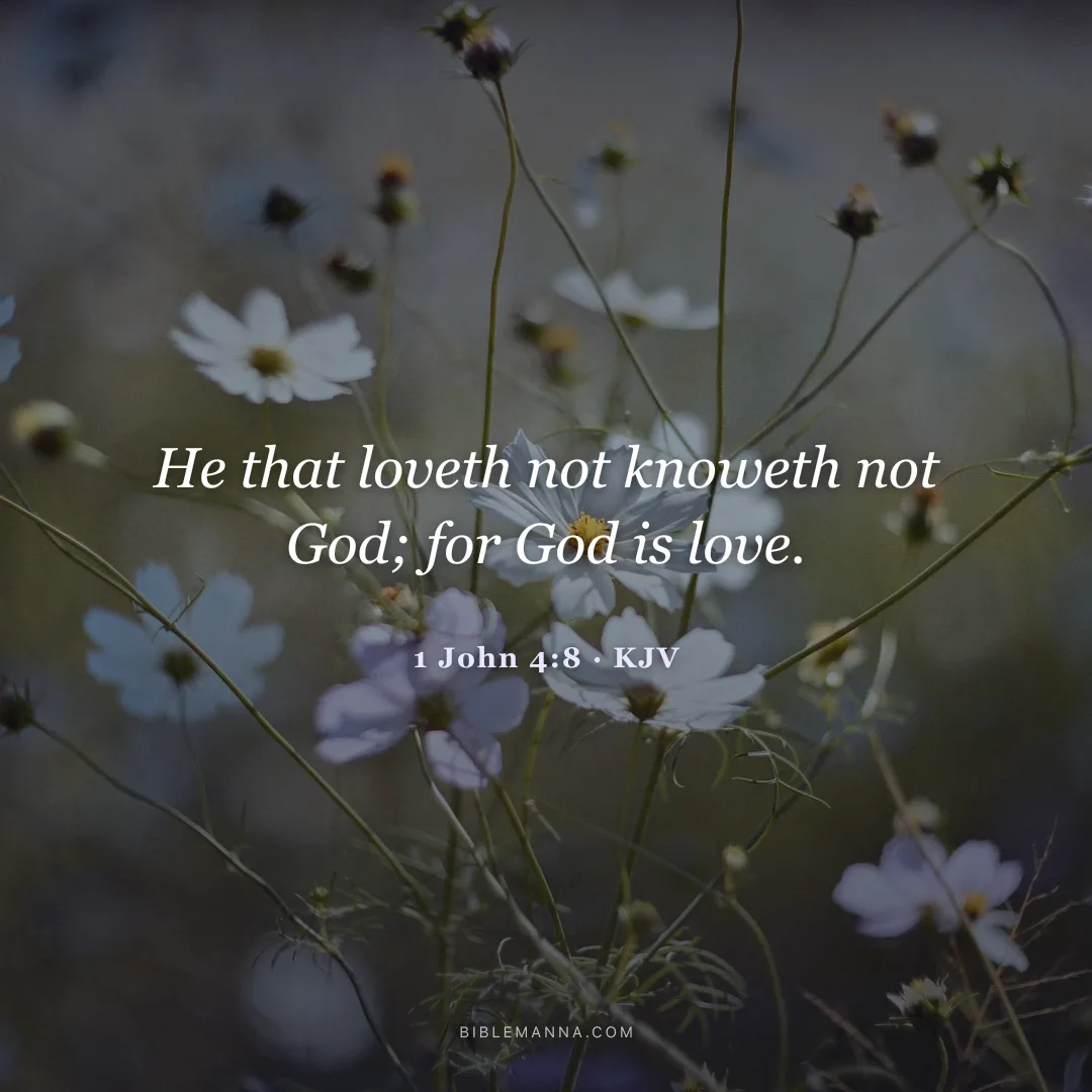 "He that loveth not knoweth not God; for God is love." - 1 John 4:8 (KJV)