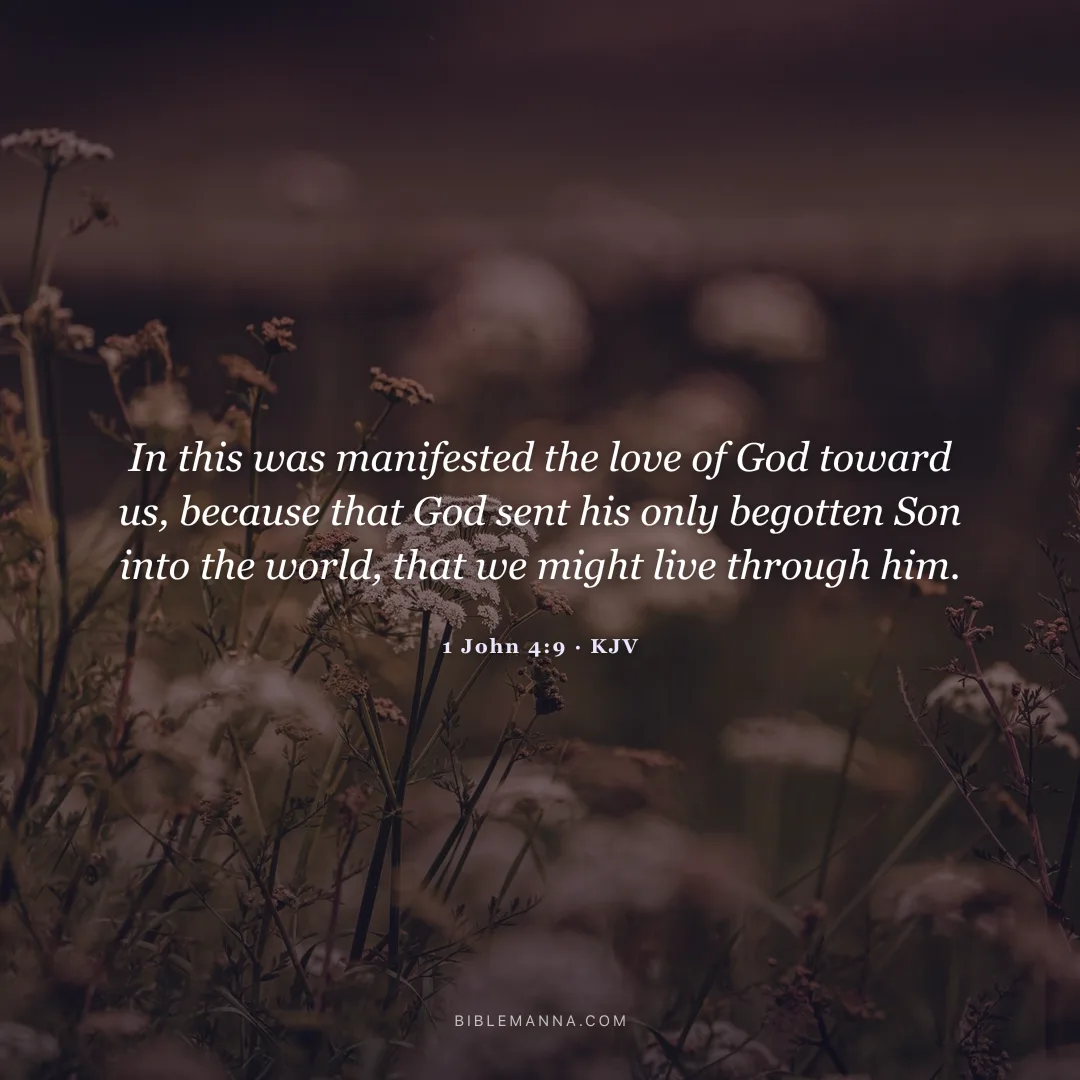 "In this was manifested the love of God toward us, because that God sent his only begotten Son into the world, that we might live through him." - 1 John 4:9 (KJV)