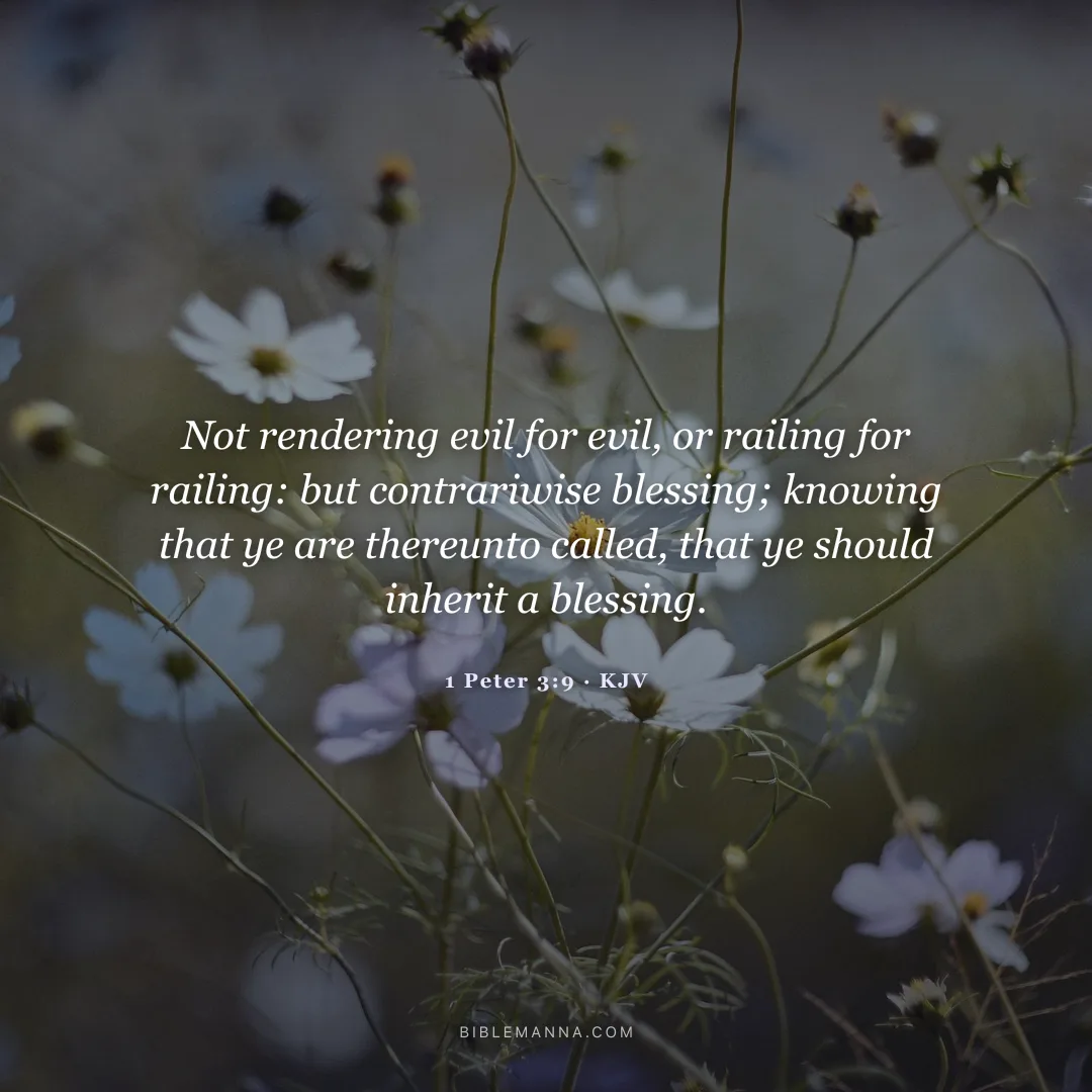 "Not rendering evil for evil, or railing for railing: but contrariwise blessing; knowing that ye are thereunto called, that ye should inherit a blessing." - 1 Peter 3:9 (KJV)