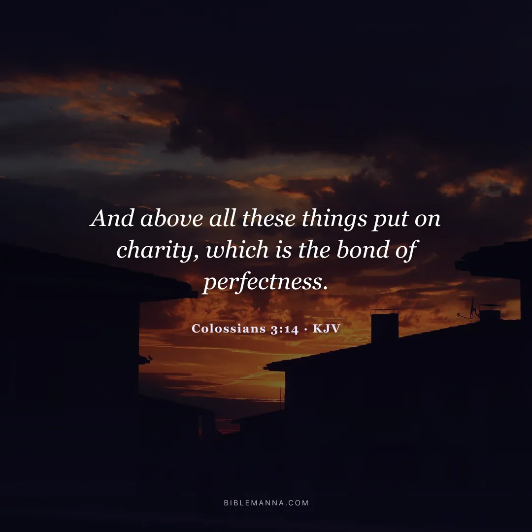 "And above all these things put on charity, which is the bond of perfectness." - Colossians 3:14 (KJV)
