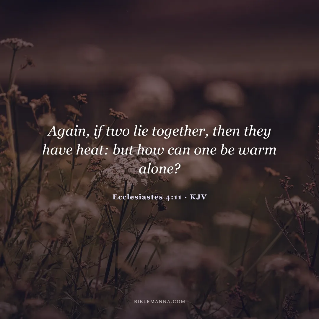 "Again, if two lie together, then they have heat: but how can one be warm alone?" - Ecclesiastes 4:11 (KJV)