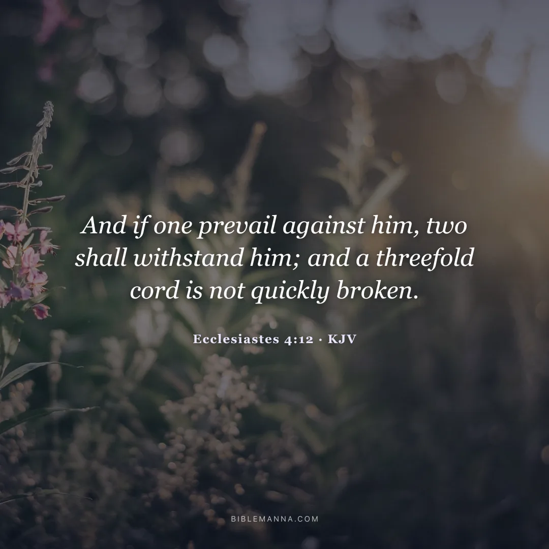 "And if one prevail against him, two shall withstand him; and a threefold cord is not quickly broken." - Ecclesiastes 4:12 (KJV)