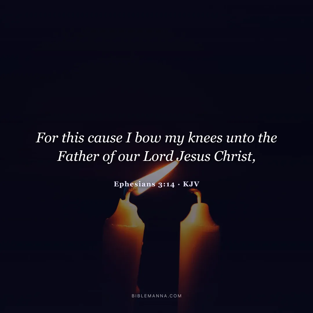 "For this cause I bow my knees unto the Father of our Lord Jesus Christ," - Ephesians 3:14 (KJV)