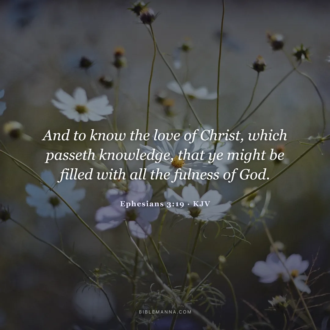 "And to know the love of Christ, which passeth knowledge, that ye might be filled with all the fulness of God." - Ephesians 3:19 (KJV)
