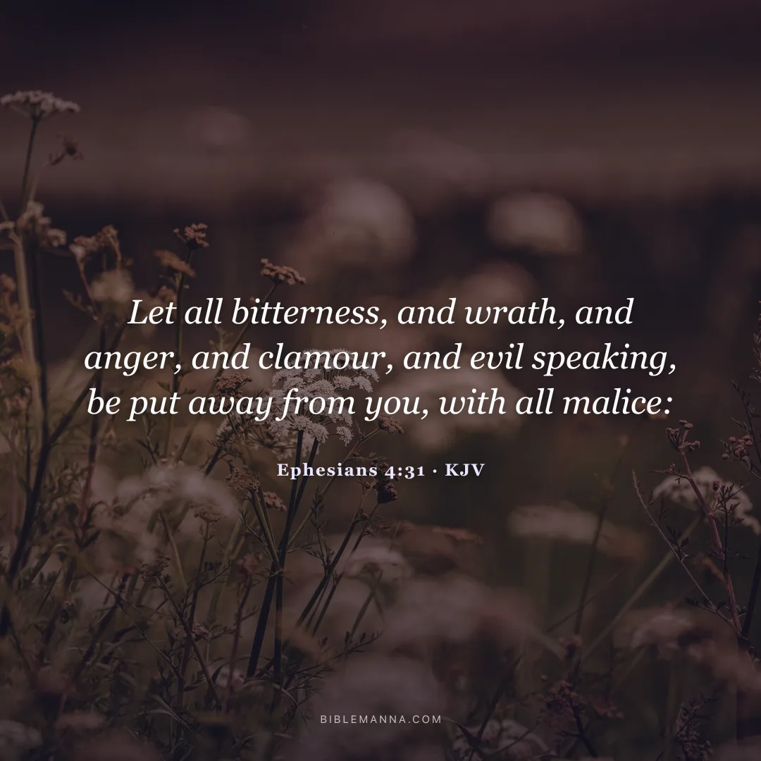 "Let all bitterness, and wrath, and anger, and clamour, and evil speaking, be put away from you, with all malice." - Ephesians 4:31 (KJV)