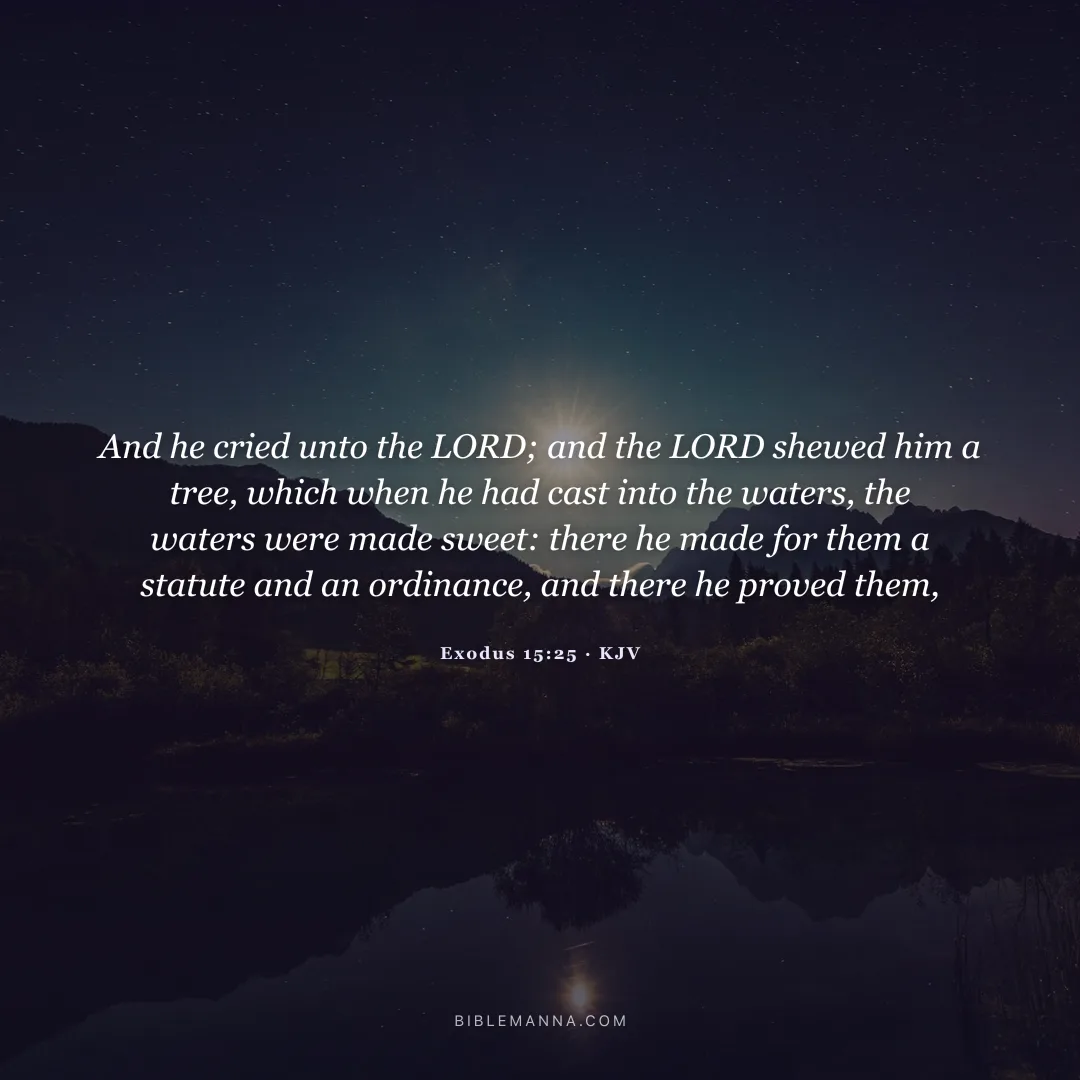 "And he cried unto the LORD; and the LORD shewed him a tree, which when he had cast into the waters, the waters were made sweet: there he made for them a statute and an ordinance, and there he proved them," - Exodus 15:25 (KJV)
