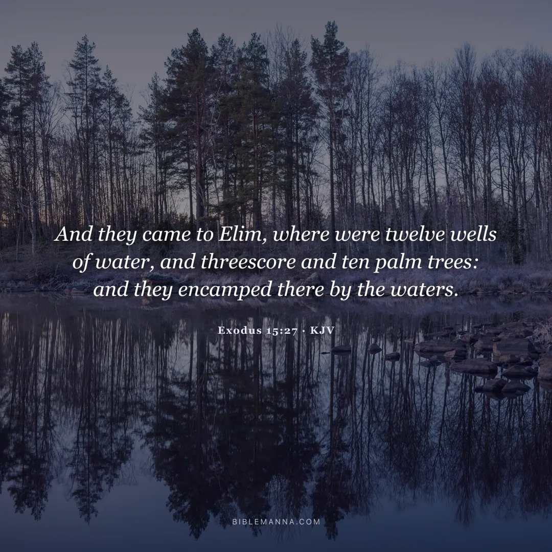 "And they came to Elim, where were twelve wells of water, and threescore and ten palm trees: and they encamped there by the waters." - Exodus 15:27 (KJV)