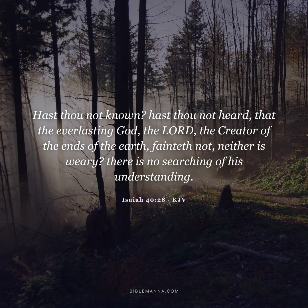 "Hast thou not known? hast thou not heard, that the everlasting God, the LORD, the Creator of the ends of the earth, fainteth not, neither is weary? there is no searching of his understanding." - Isaiah 40:28 (KJV)