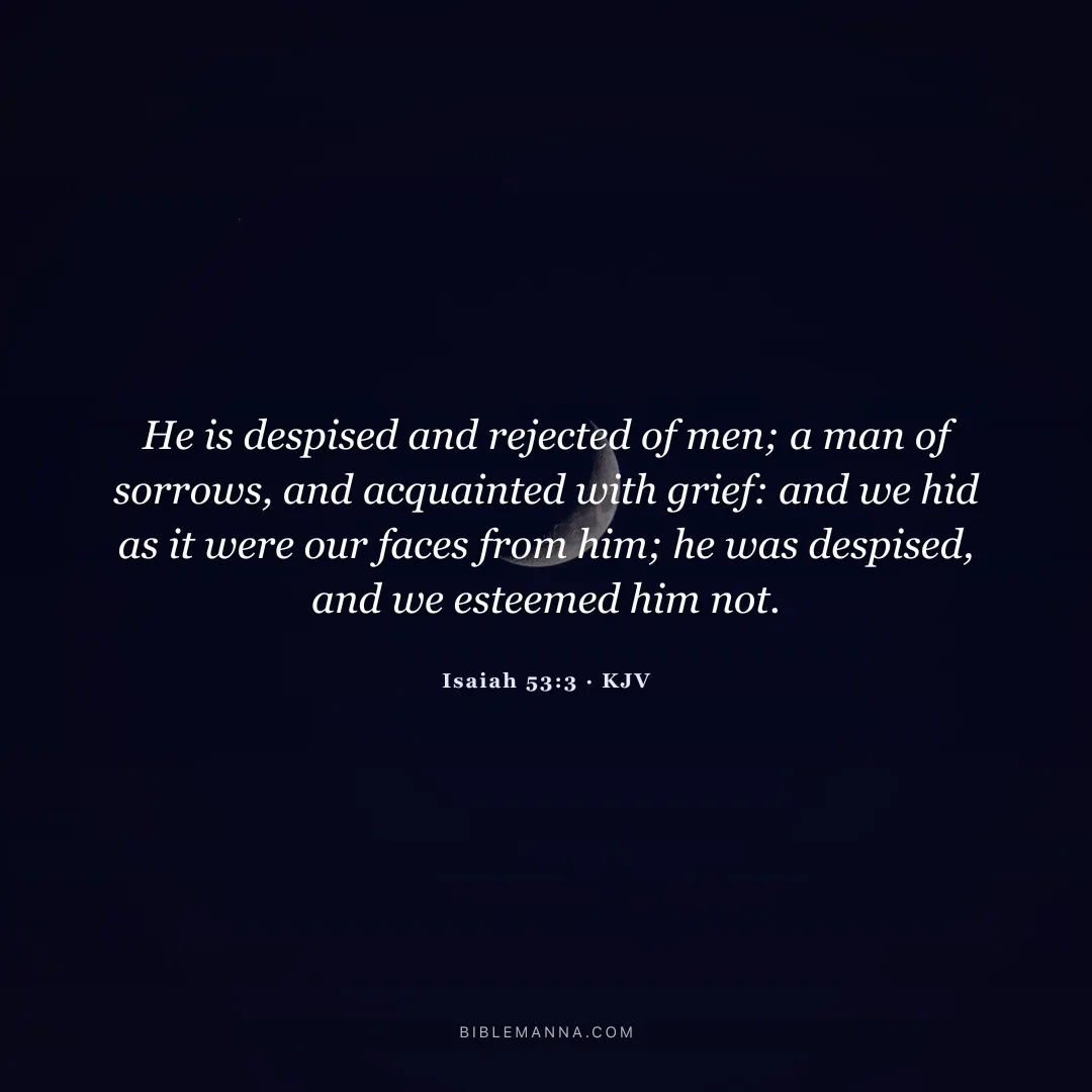 "He is despised and rejected of men; a man of sorrows, and acquainted with grief: and we hid as it were our faces from him; he was despised, and we esteemed him not." - Isaiah 53:3 (KJV)