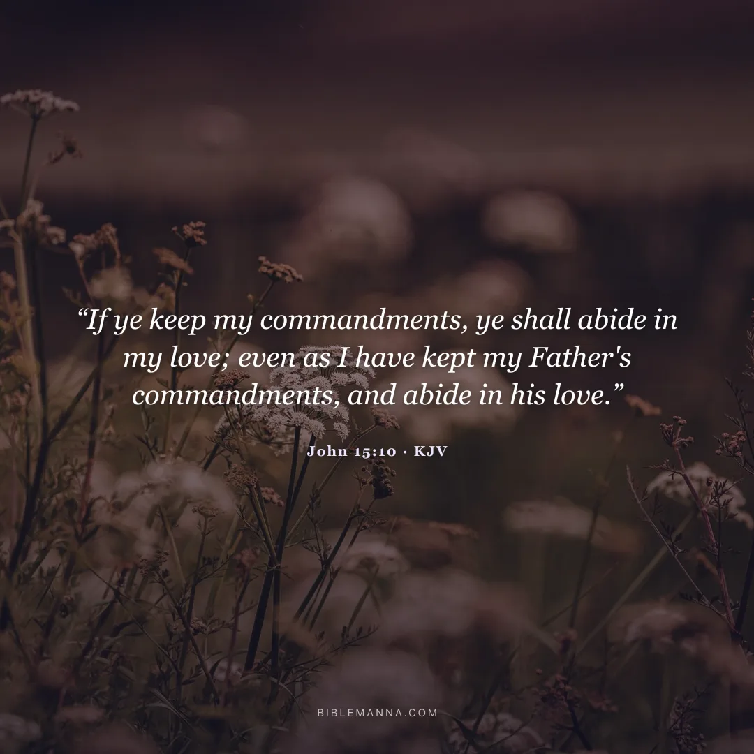 "“If ye keep my commandments, ye shall abide in my love; even as I have kept my Father's commandments, and abide in his love.”" - John 15:10 (KJV)