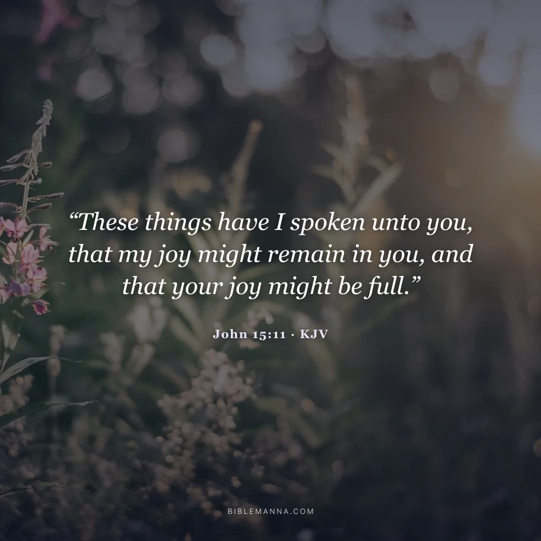 "These things have I spoken unto you, that my joy might remain in you, and that your joy might be full." - John 15:11 (KJV)