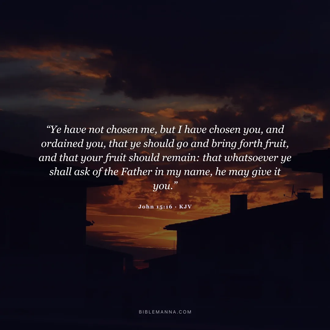 "“Ye have not chosen me, but I have chosen you, and ordained you, that ye should go and bring forth fruit, and that your fruit should remain: that whatsoever ye shall ask of the Father in my name, he may give it you.”" - John 15:16 (KJV)