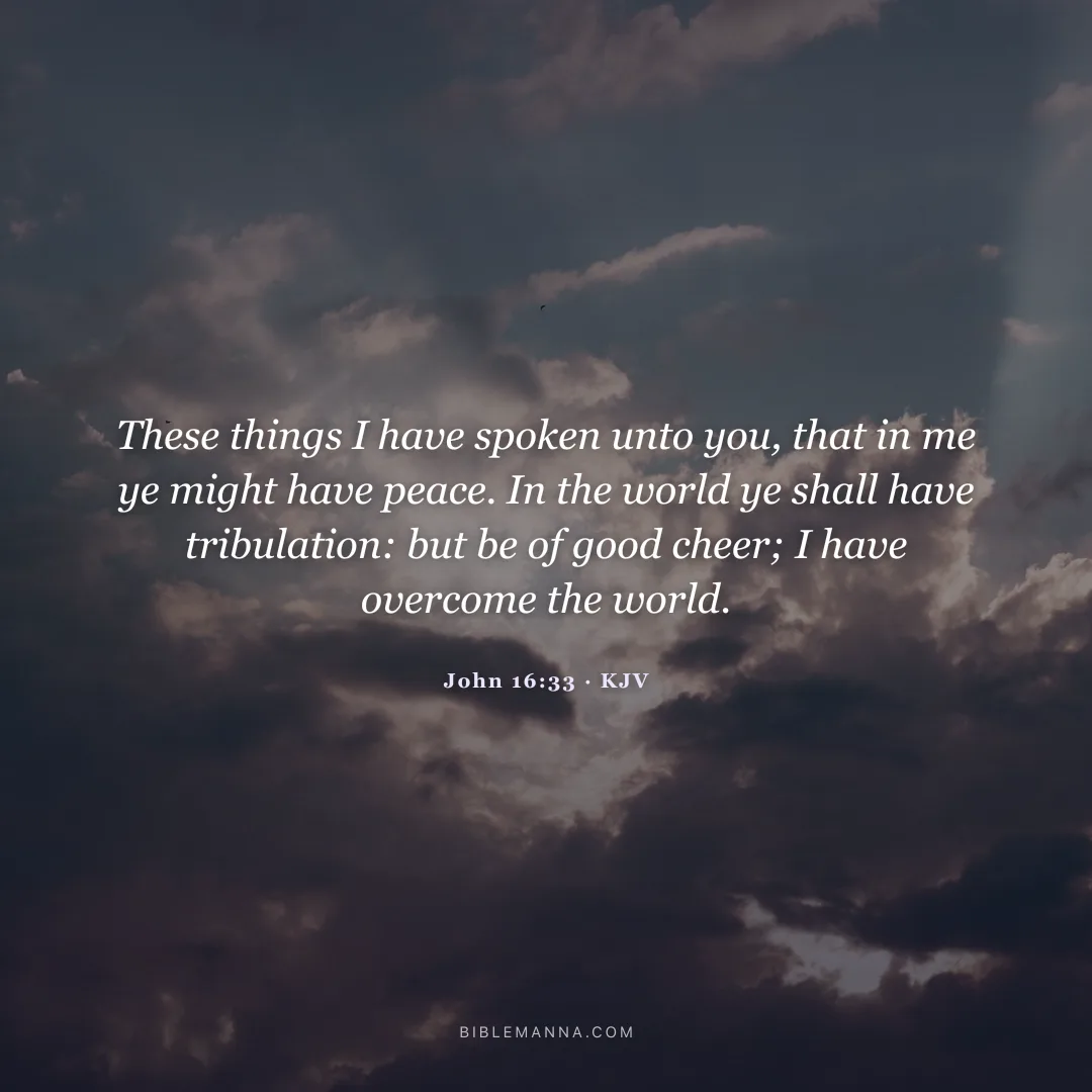 "These things I have spoken unto you, that in me ye might have peace. In the world ye shall have tribulation: but be of good cheer; I have overcome the world." - John 16:33 (KJV)