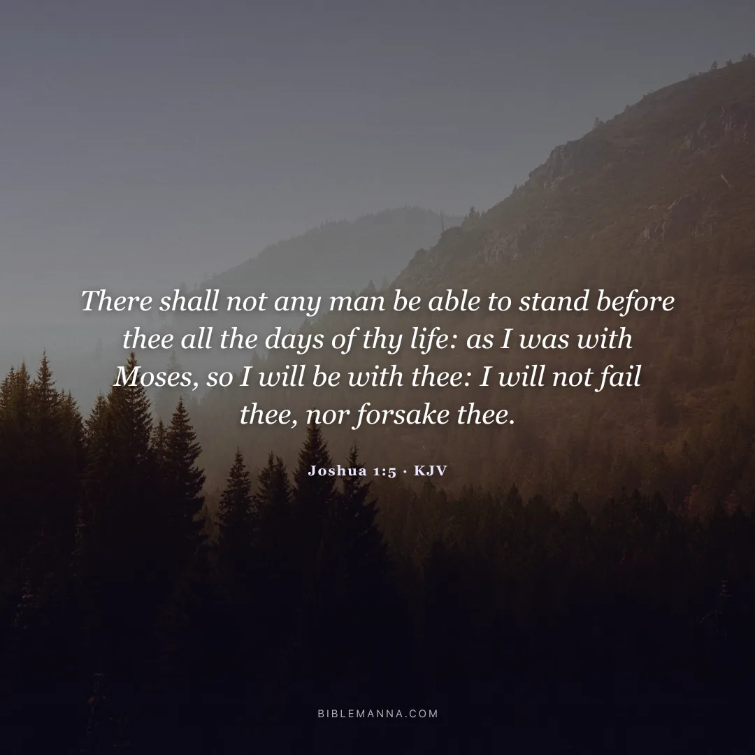 "There shall not any man be able to stand before thee all the days of thy life: as I was with Moses, so I will be with thee: I will not fail thee, nor forsake thee." - Joshua 1:5 (KJV)