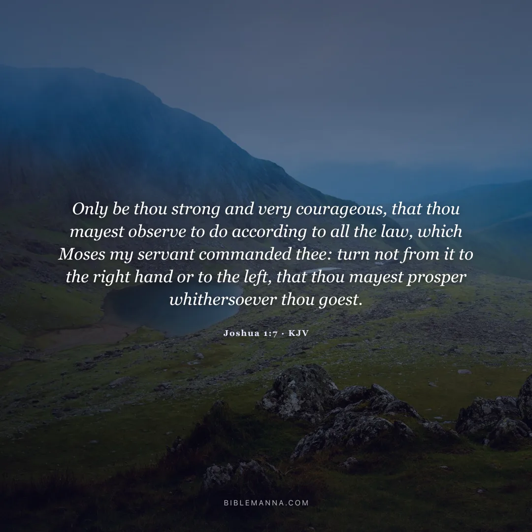 "Only be thou strong and very courageous, that thou mayest observe to do according to all the law, which Moses my servant commanded thee: turn not from it to the right hand or to the left, that thou mayest prosper whithersoever thou goest." - Joshua 1:7 (KJV)