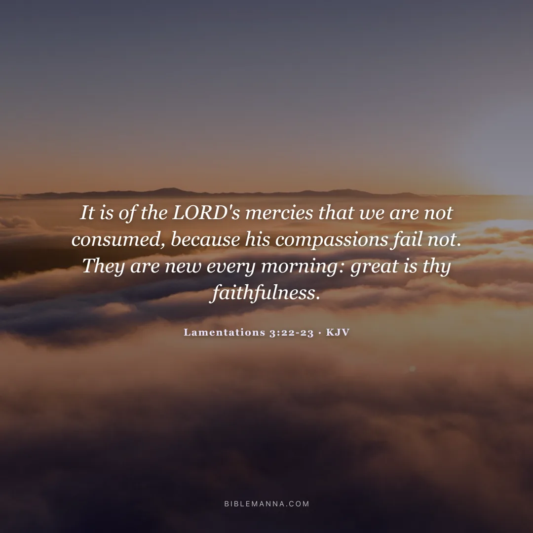 "It is of the LORD's mercies that we are not consumed, because his compassions fail not. They are new every morning: great is thy faithfulness." - Lamentations 3:22-23 (KJV)