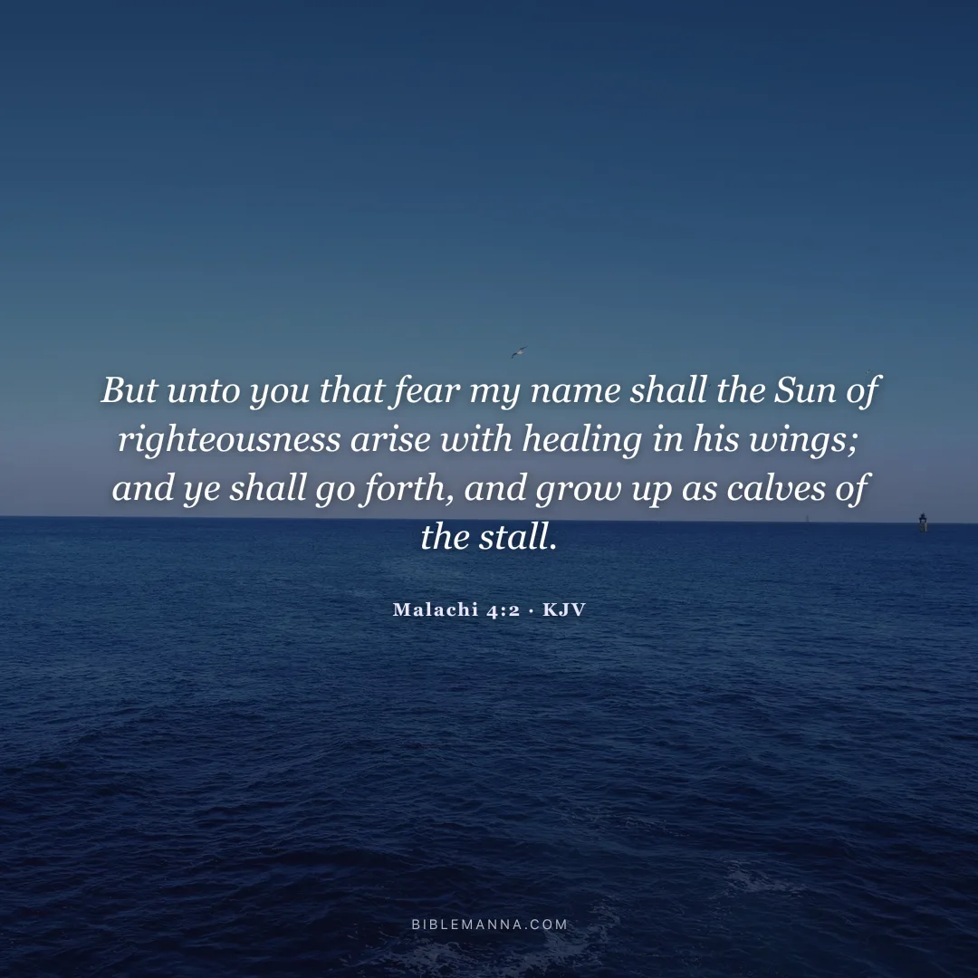 "But unto you that fear my name shall the Sun of righteousness arise with healing in his wings; and ye shall go forth, and grow up as calves of the stall." - Malachi 4:2 (KJV)