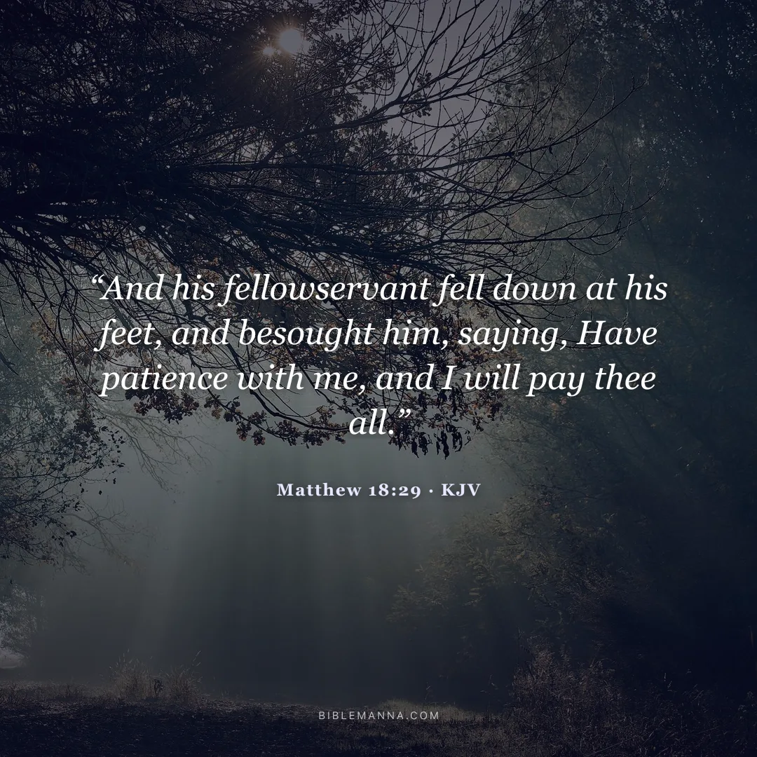 "“And his fellowservant fell down at his feet, and besought him, saying, Have patience with me, and I will pay thee all.”" - Matthew 18:29 (KJV)