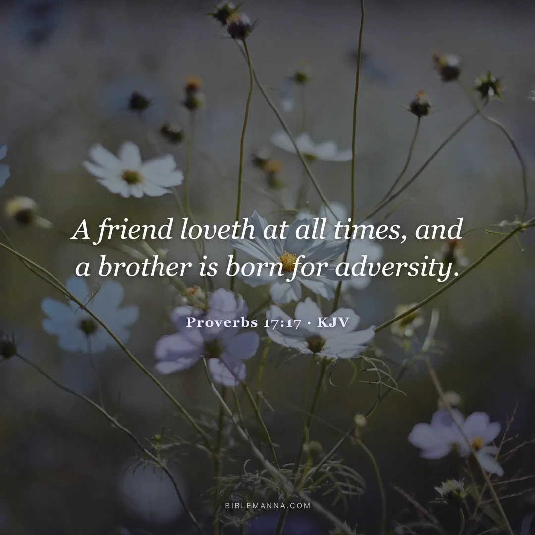 "A friend loveth at all times, and a brother is born for adversity." - Proverbs 17:17 (KJV)