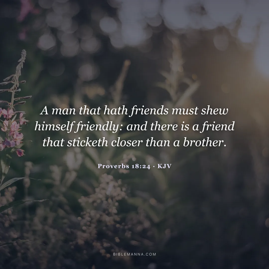 "A man that hath friends must shew himself friendly: and there is a friend that sticketh closer than a brother." - Proverbs 18:24 (KJV)