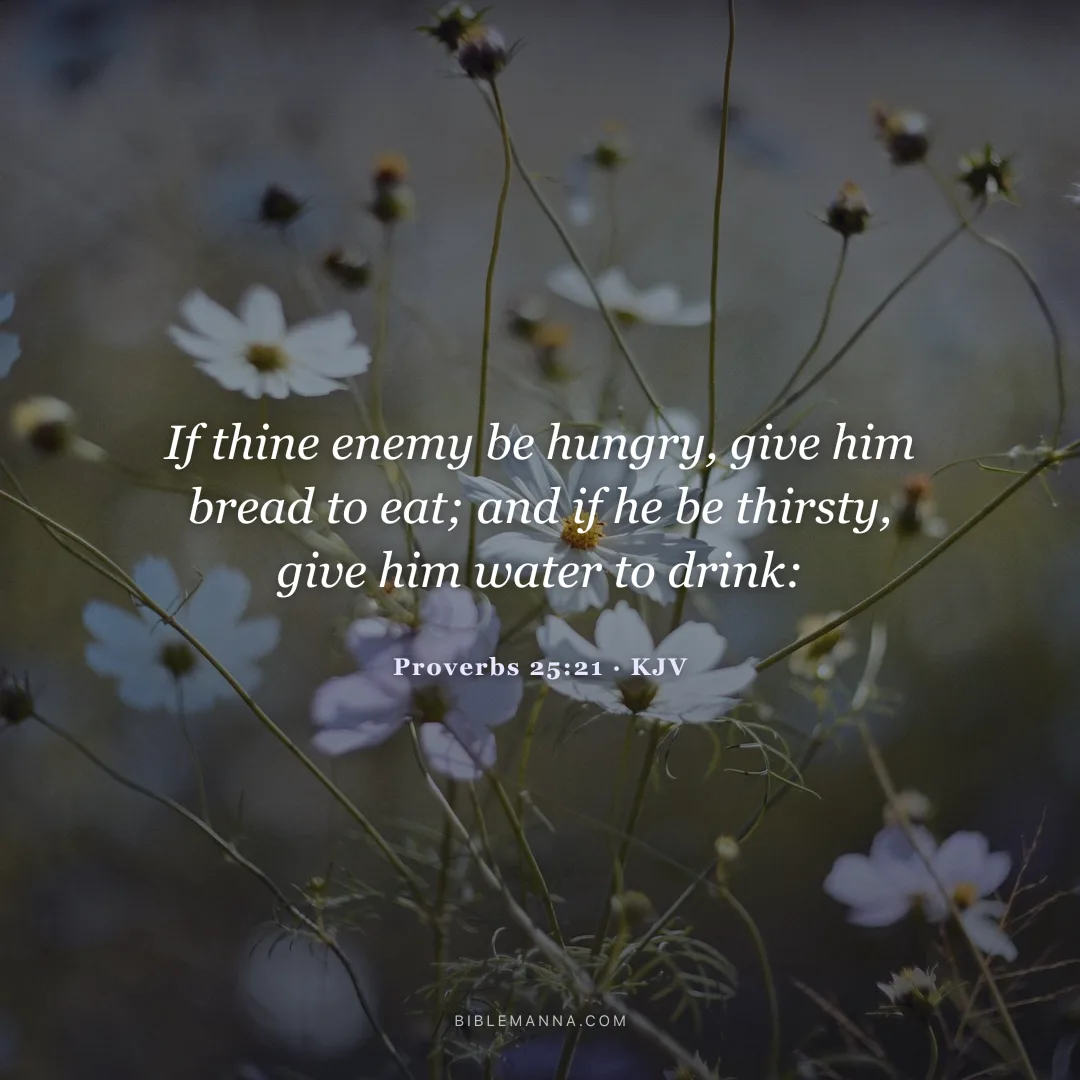 "If thine enemy be hungry, give him bread to eat; and if he be thirsty, give him water to drink:" - Proverbs 25:21 (KJV)