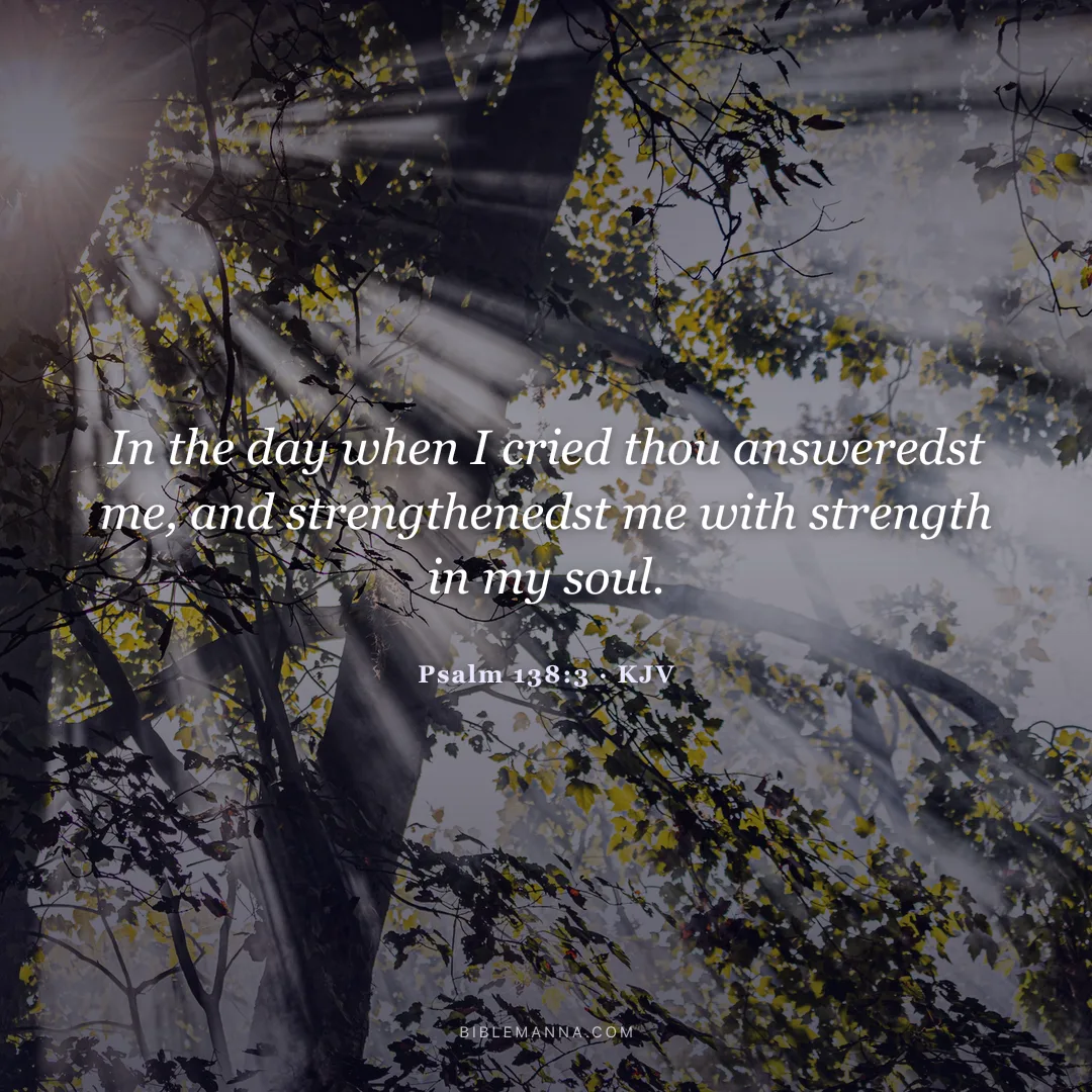 "In the day when I cried thou answeredst me, and strengthenedst me with strength in my soul." - Psalm 138:3 (KJV)