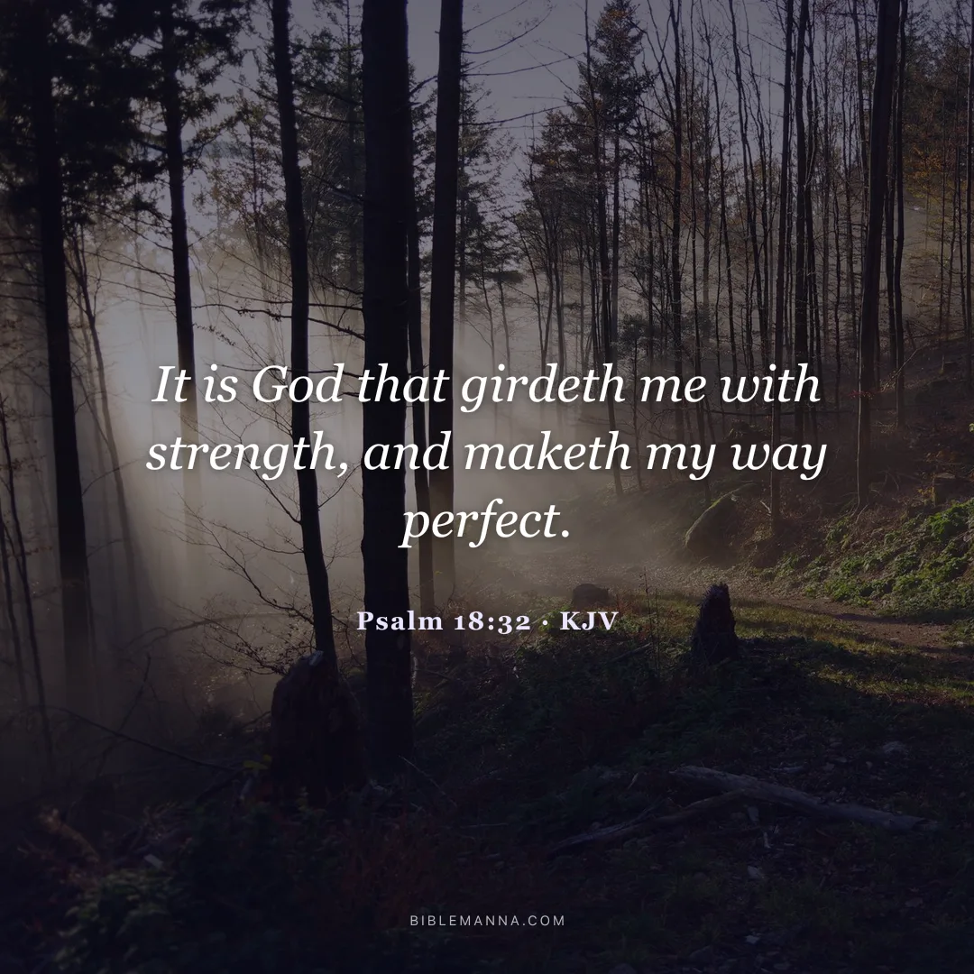 "It is God that girdeth me with strength, and maketh my way perfect." - Psalm 18:32 (KJV)