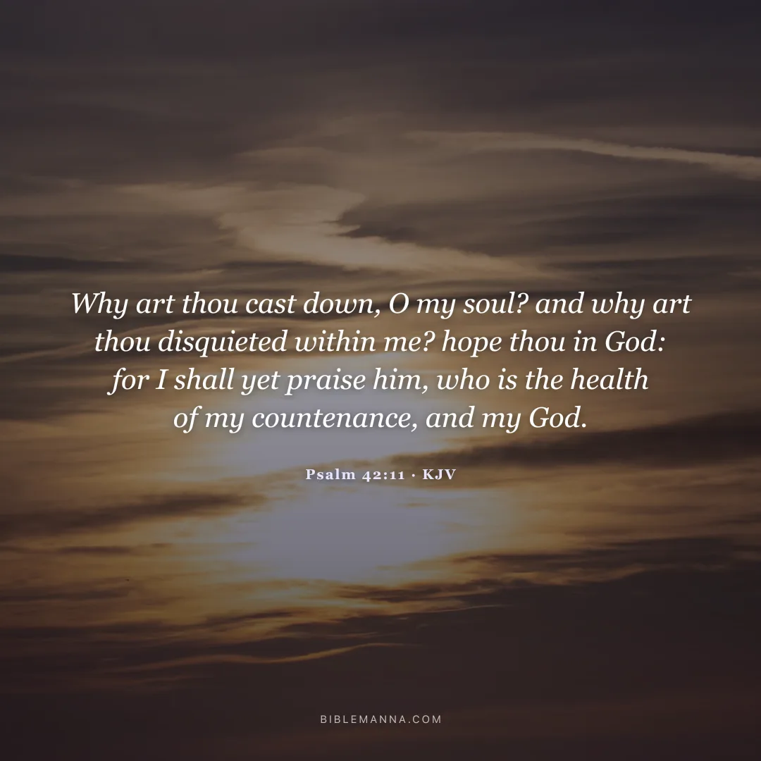"Why art thou cast down, O my soul? and why art thou disquieted within me? hope thou in God: for I shall yet praise him, who is the health of my countenance, and my God." - Psalm 42:11 (KJV)