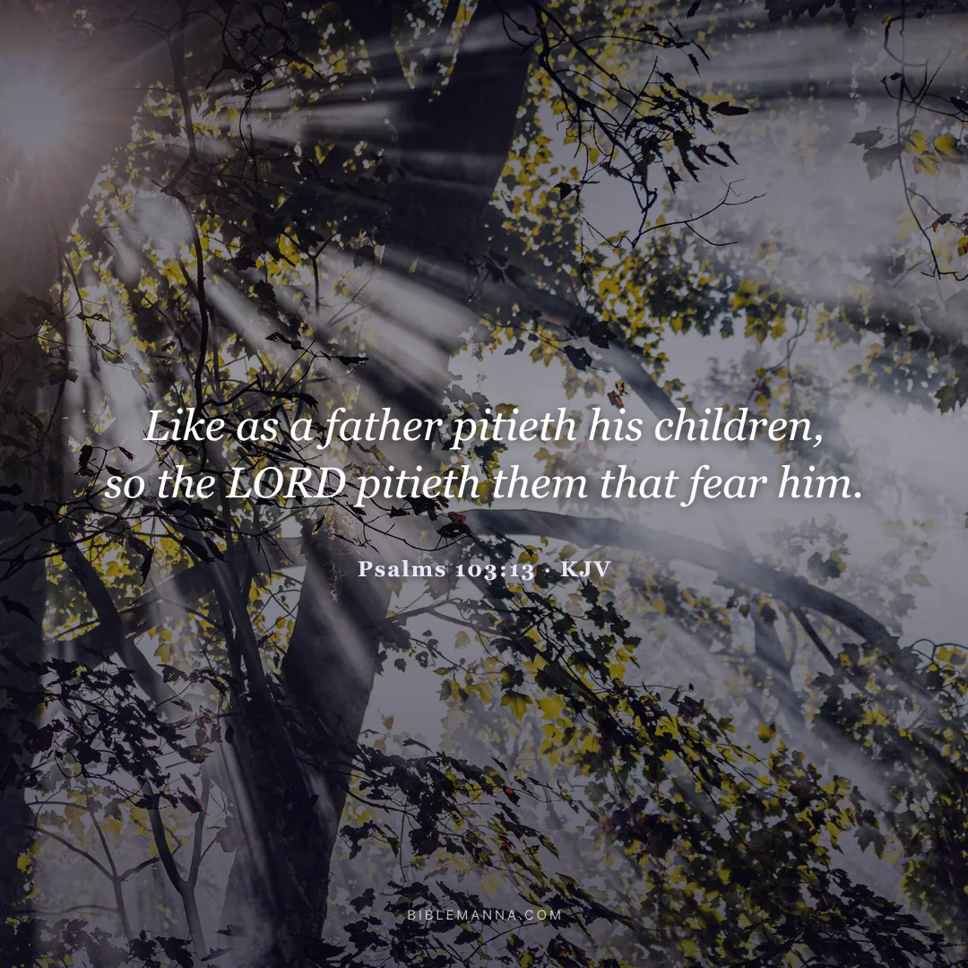 "Like as a father pitieth his children, so the LORD pitieth them that fear him." - Psalms 103:13 (KJV)