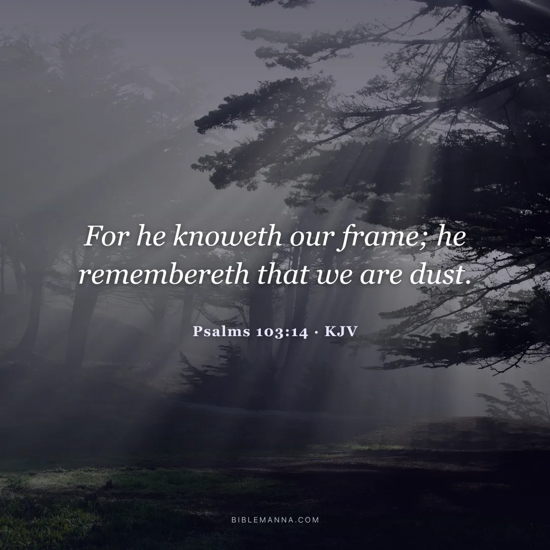 "For he knoweth our frame; he remembereth that we are dust." - Psalms 103:14 (KJV)