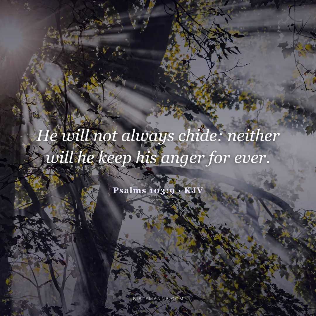 "He will not always chide: neither will he keep his anger for ever." - Psalms 103:9 (KJV)