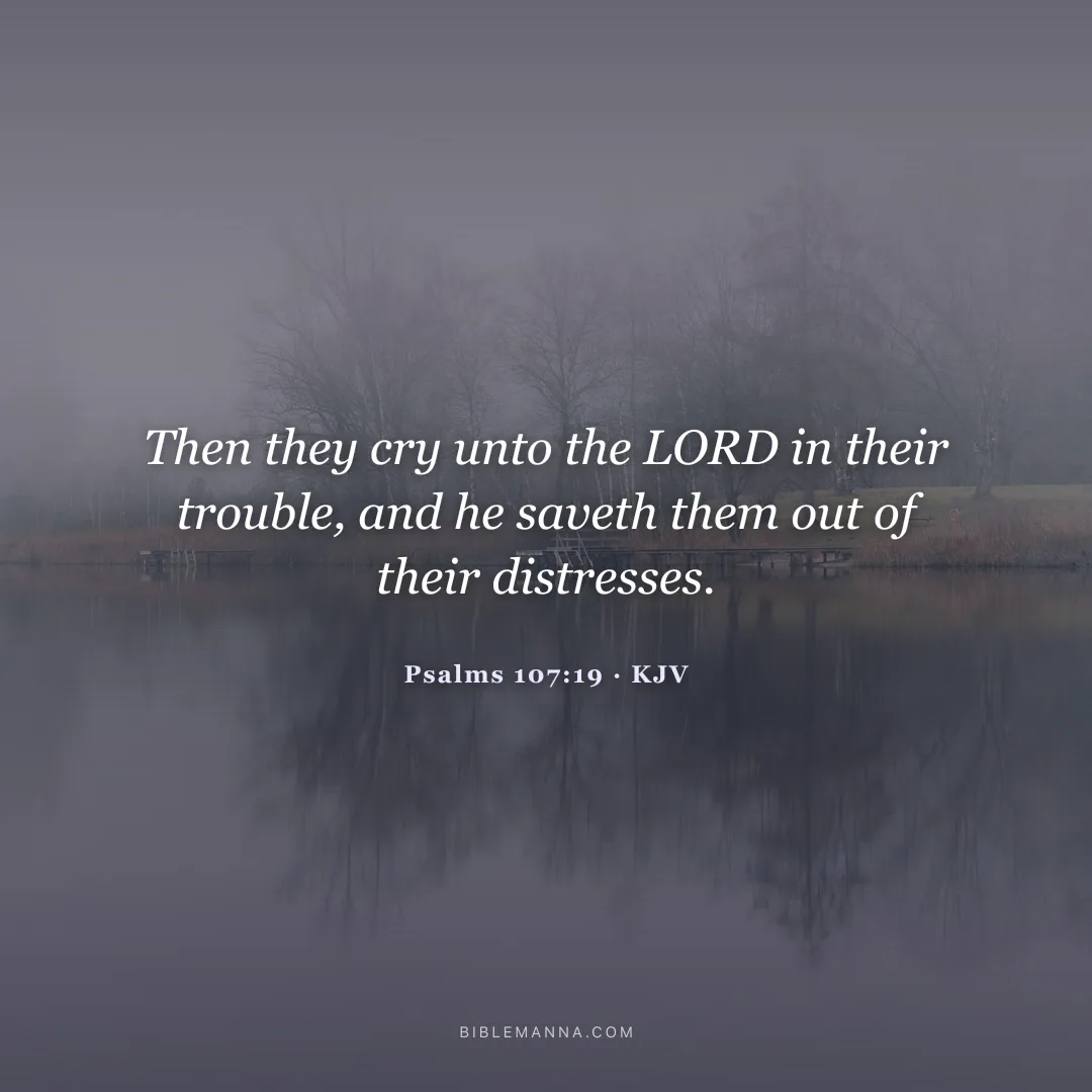 "Then they cry unto the LORD in their trouble, and he saveth them out of their distresses." - Psalms 107:19 (KJV)