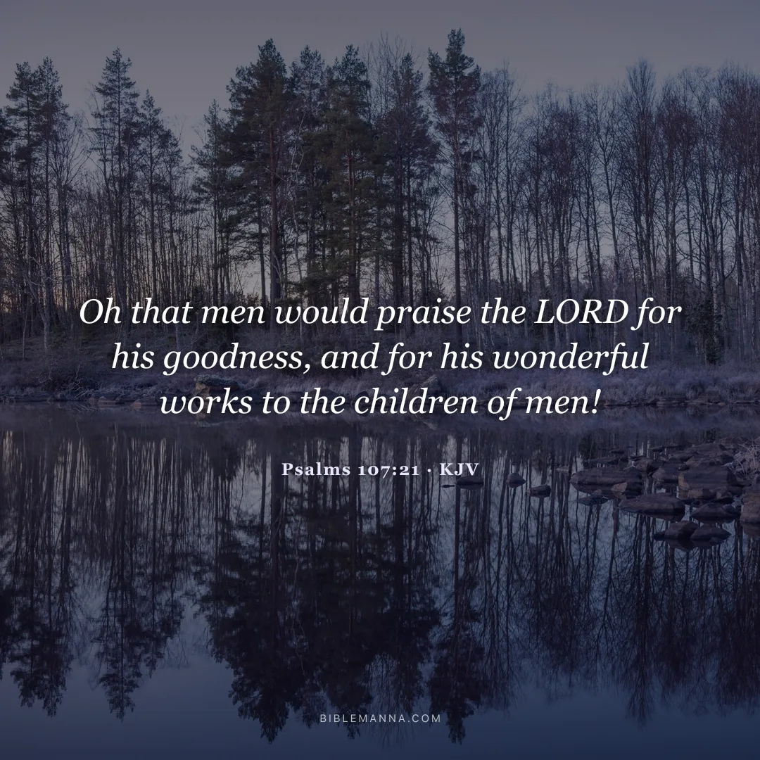 "Oh that men would praise the LORD for his goodness, and for his wonderful works to the children of men!" - Psalms 107:21 (KJV)