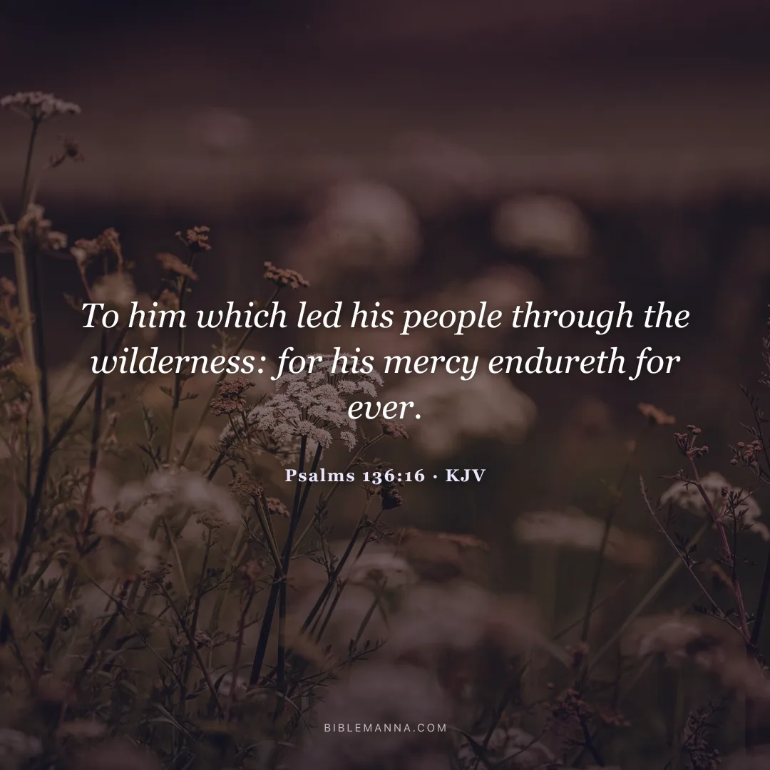 "To him which led his people through the wilderness: for his mercy endureth for ever." - Psalms 136:16 (KJV)