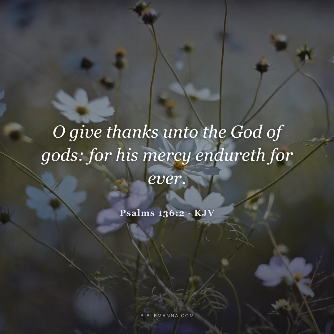 "O give thanks unto the God of gods: for his mercy endureth for ever." - Psalms 136:2 (KJV)