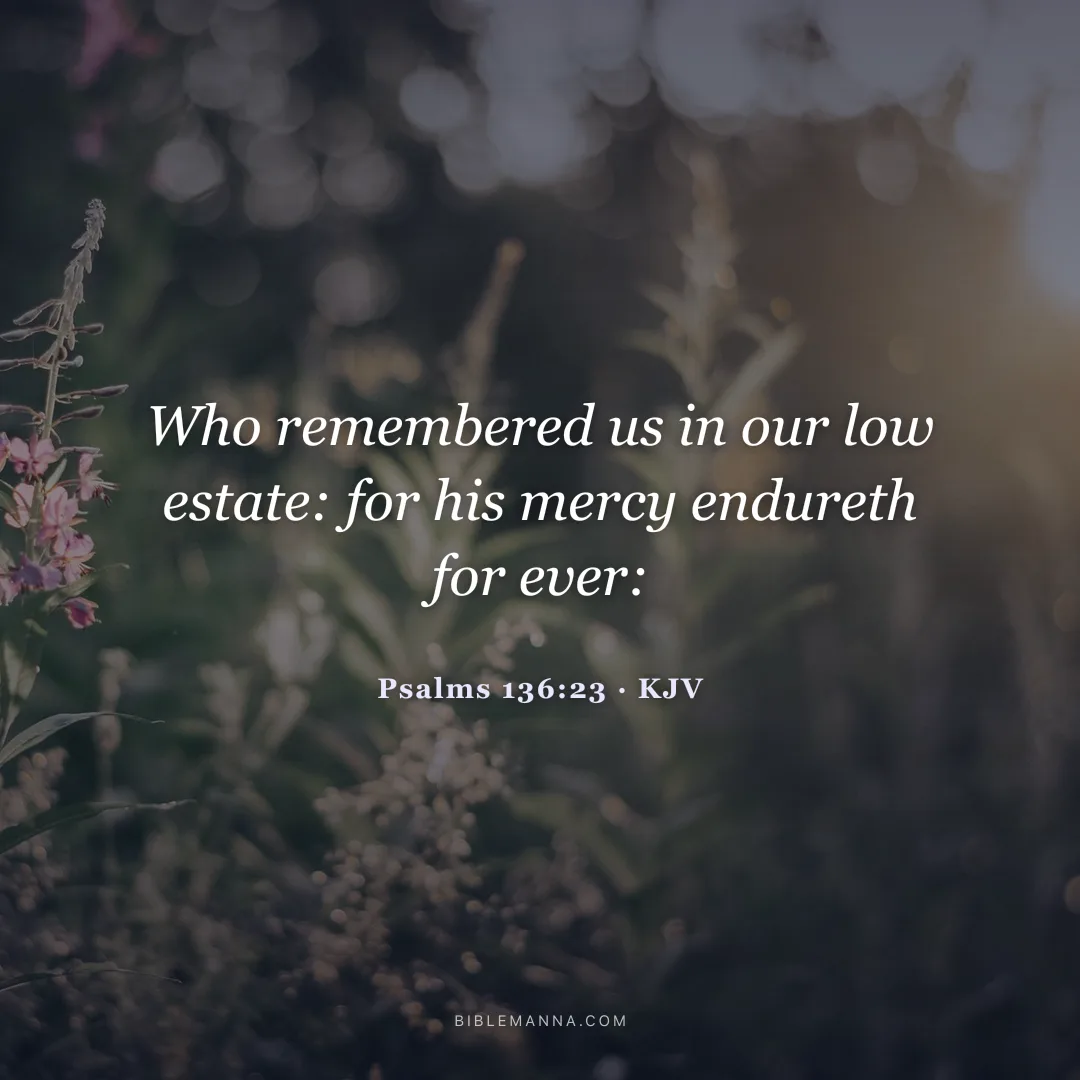 "Who remembered us in our low estate: for his mercy endureth for ever:" - Psalms 136:23 (KJV)
