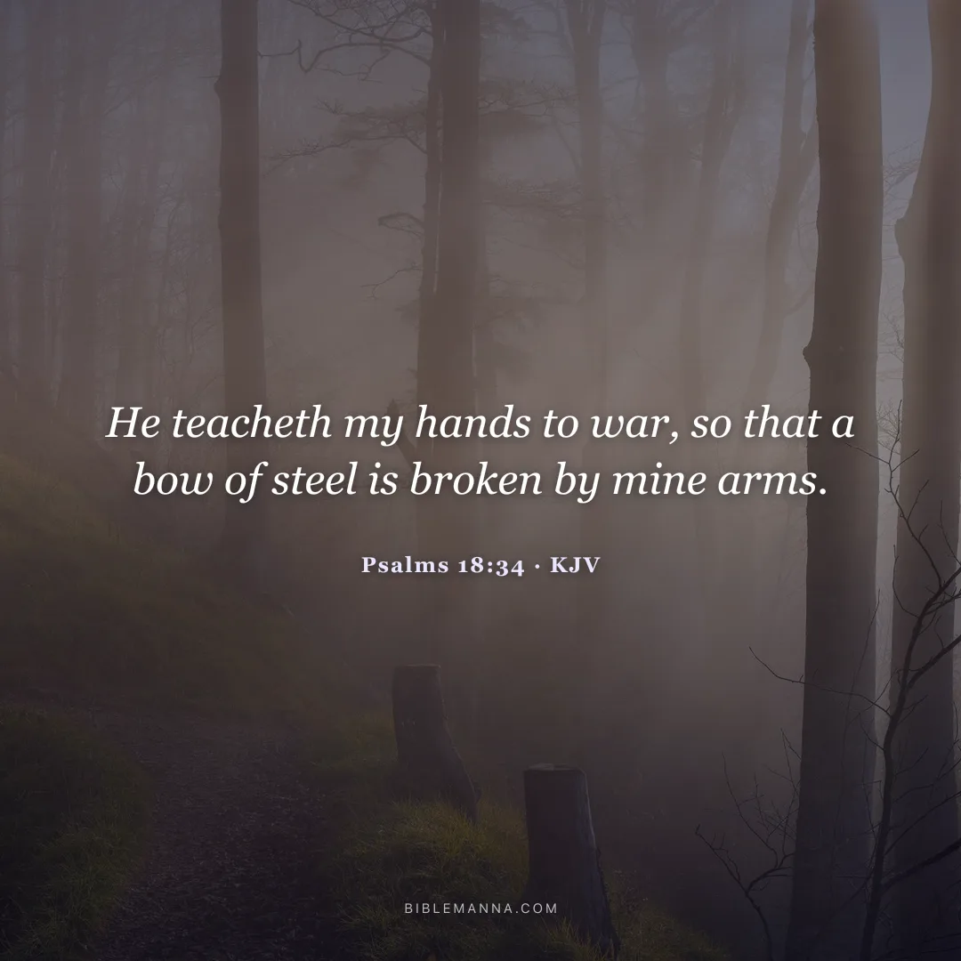 "He teacheth my hands to war, so that a bow of steel is broken by mine arms." - Psalms 18:34 (KJV)