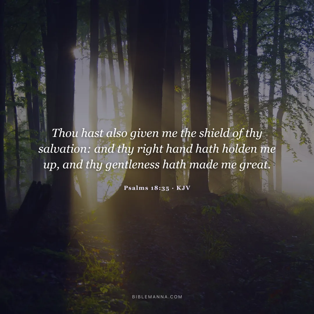 "Thou hast also given me the shield of thy salvation: and thy right hand hath holden me up, and thy gentleness hath made me great." - Psalms 18:35 (KJV)