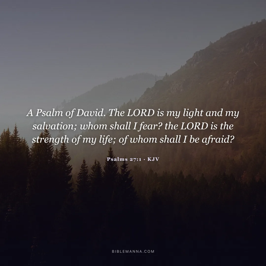 "A Psalm of David. The LORD is my light and my salvation; whom shall I fear? the LORD is the strength of my life; of whom shall I be afraid?" - Psalms 27:1 (KJV)