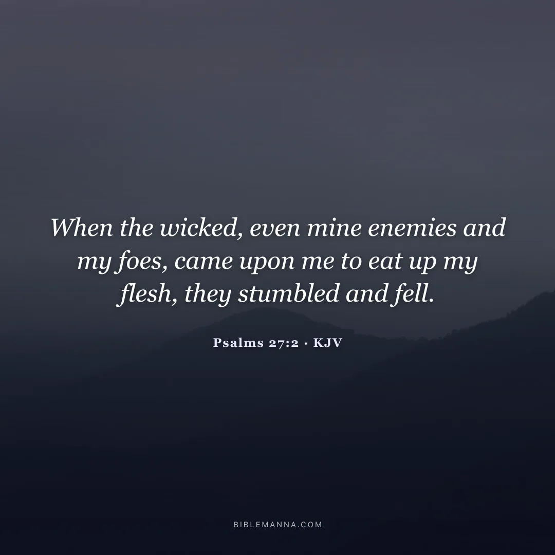"When the wicked, even mine enemies and my foes, came upon me to eat up my flesh, they stumbled and fell." - Psalms 27:2 (KJV)