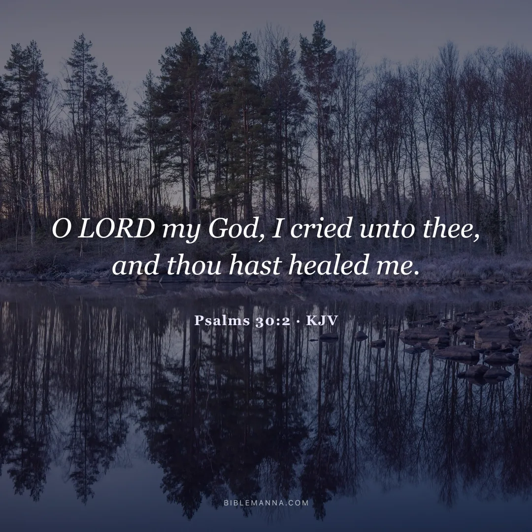 "O LORD my God, I cried unto thee, and thou hast healed me." - Psalms 30:2 (KJV)