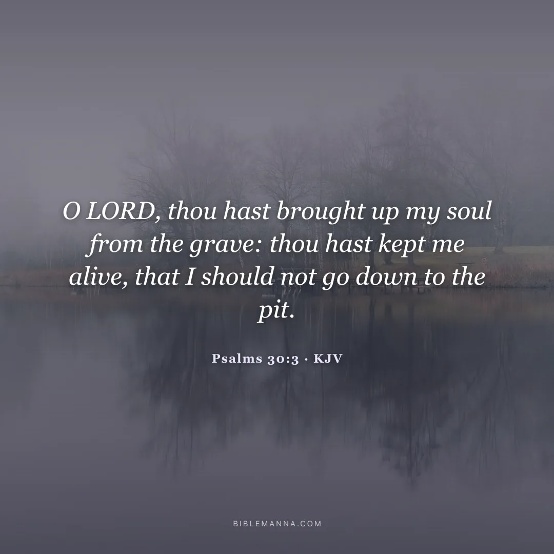 "O LORD, thou hast brought up my soul from the grave: thou hast kept me alive, that I should not go down to the pit." - Psalms 30:3 (KJV)