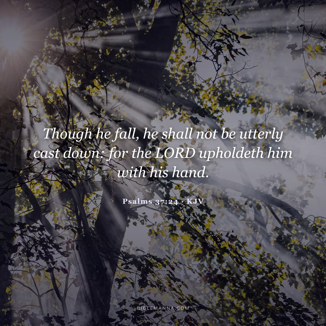 "Though he fall, he shall not be utterly cast down: for the LORD upholdeth him with his hand." - Psalms 37:24 (KJV)