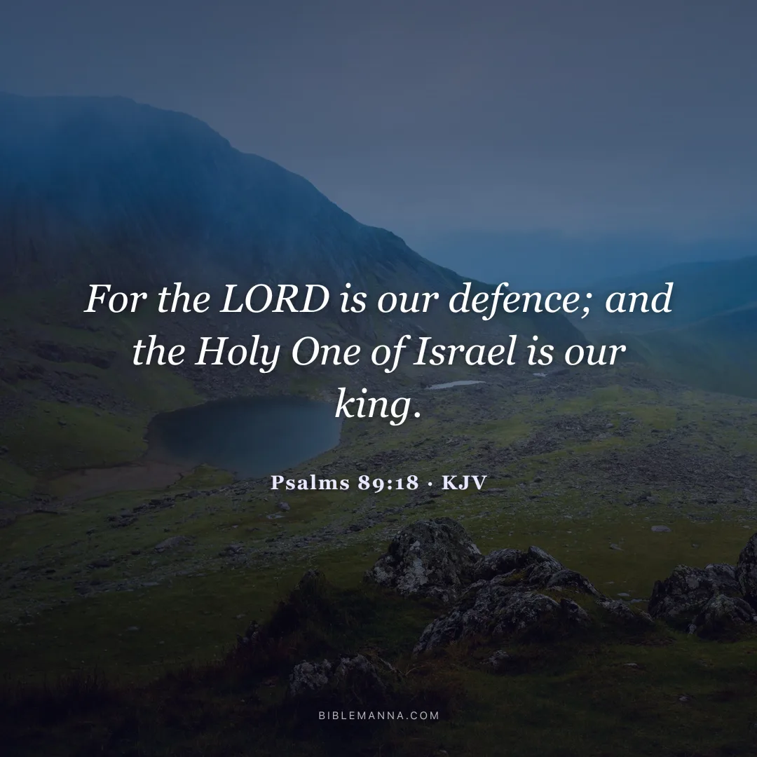 "For the LORD is our defence; and the Holy One of Israel is our king." - Psalms 89:18 (KJV)