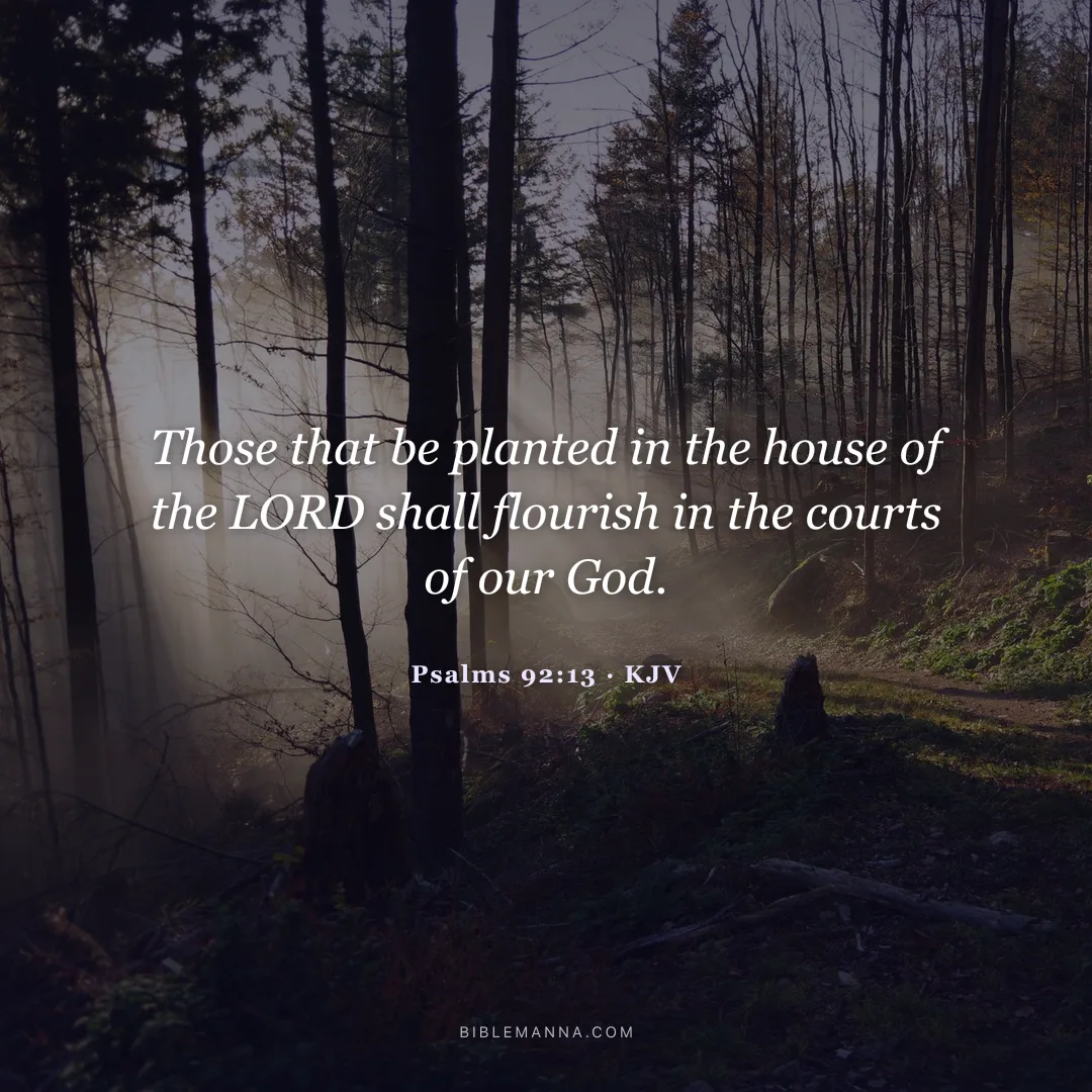 "Those that be planted in the house of the LORD shall flourish in the courts of our God." - Psalms 92:13 (KJV)