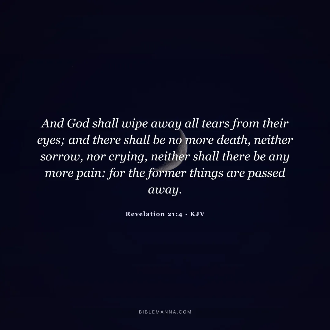 "And God shall wipe away all tears from their eyes; and there shall be no more death, neither sorrow, nor crying, neither shall there be any more pain: for the former things are passed away." - Revelation 21:4 (KJV)