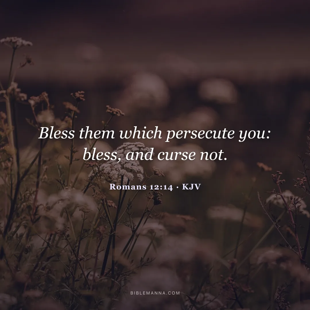 "Bless them which persecute you: bless, and curse not." - Romans 12:14 (KJV)