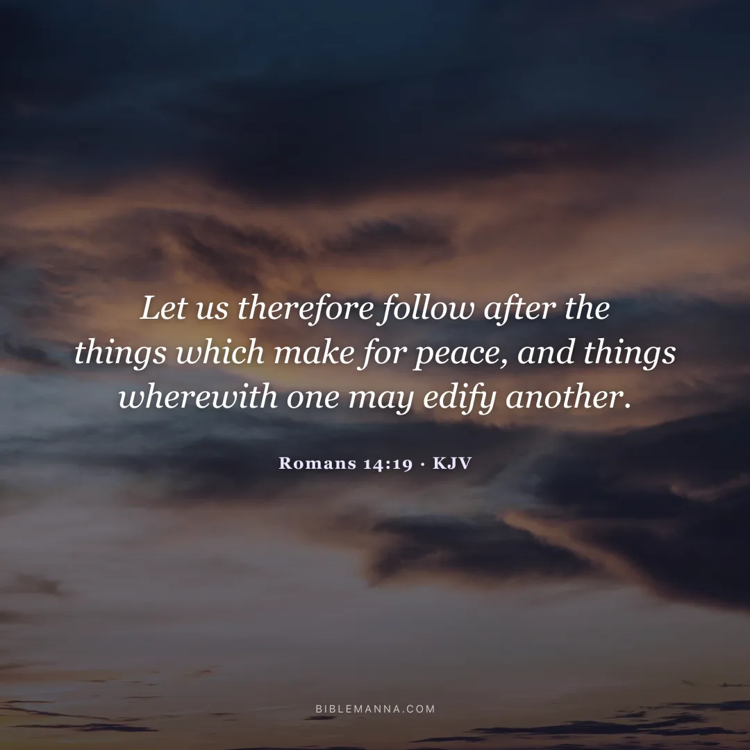 "Let us therefore follow after the things which make for peace, and things wherewith one may edify another." - Romans 14:19 (KJV)